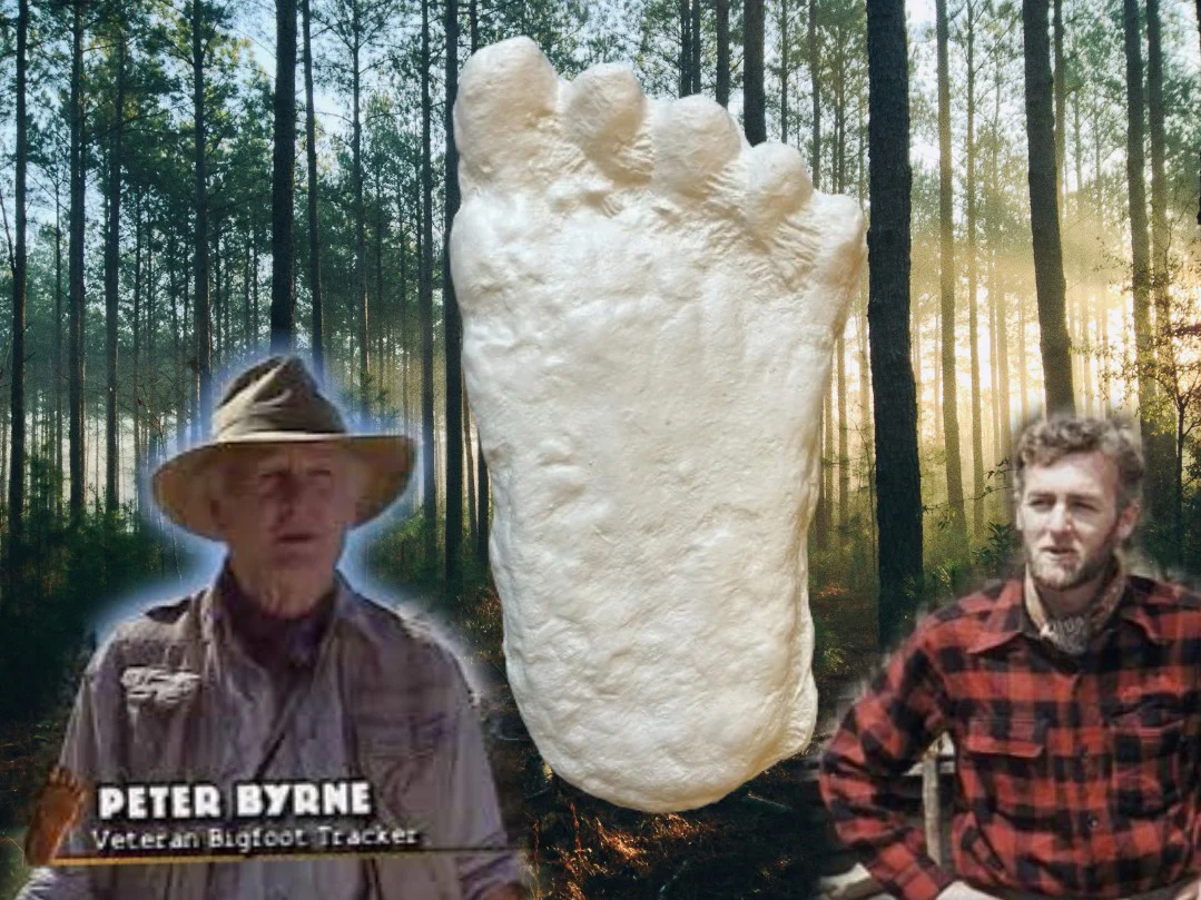 1960 Bigfoot cast Peter Byrne Bigfoot print cast (Byrne not Burn) - Image 17