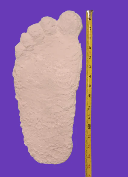 1963 Graves Bigfoot cast replica track - Image 6