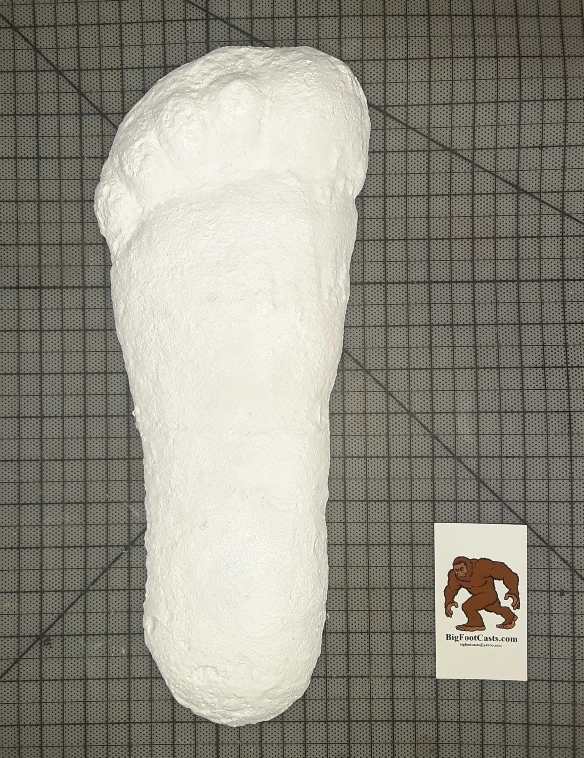 1967 Bigfoot cast replica print # CA-10 SI 3900422 K1725 (1967) - Image 8