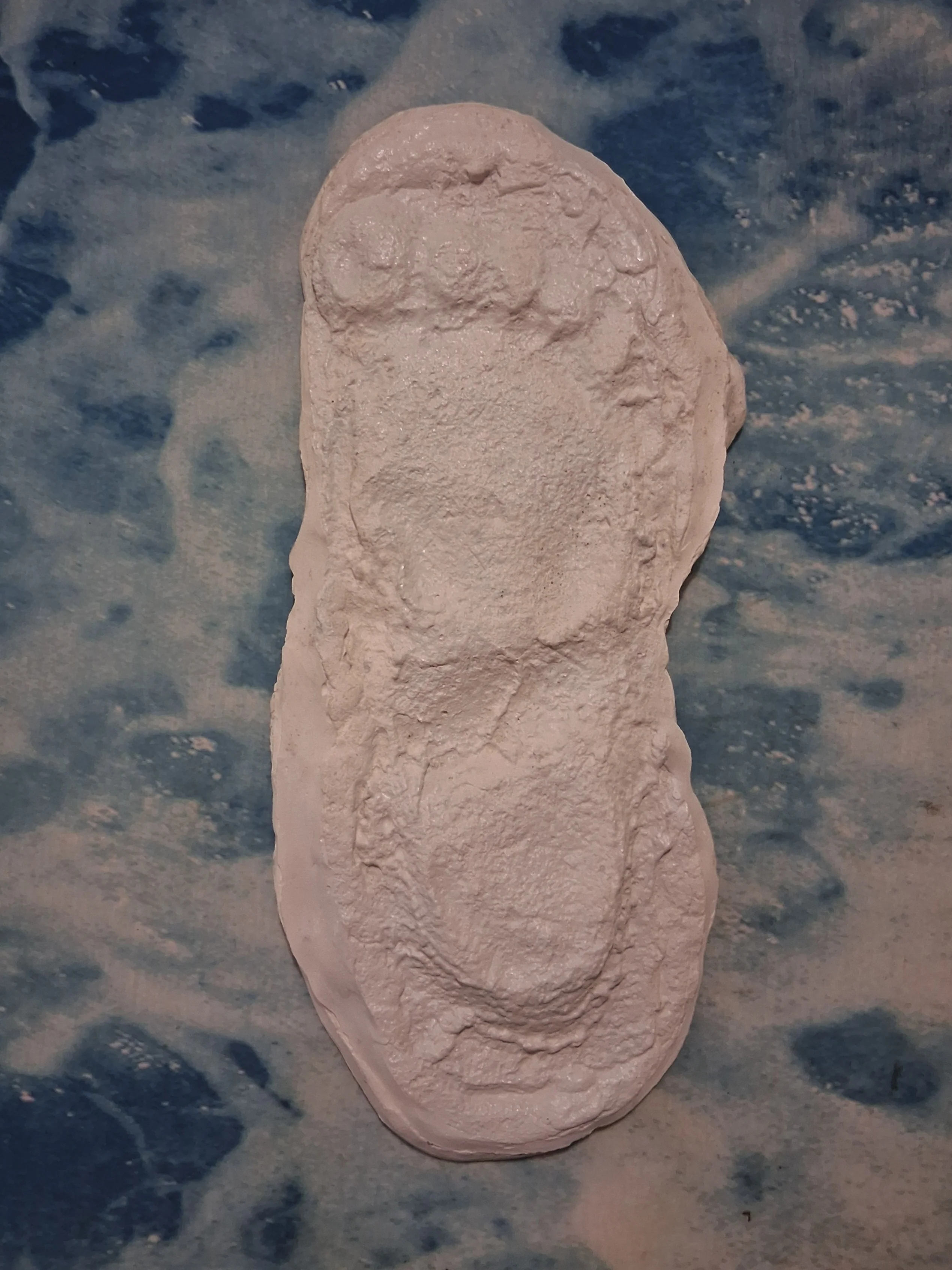 1967 Bigfoot print Patty #3 Midtarsal Break Found by Bob Titmus 1967 Capturing Bigfoot Patterson Gimlin Footprint Cast - Image 3