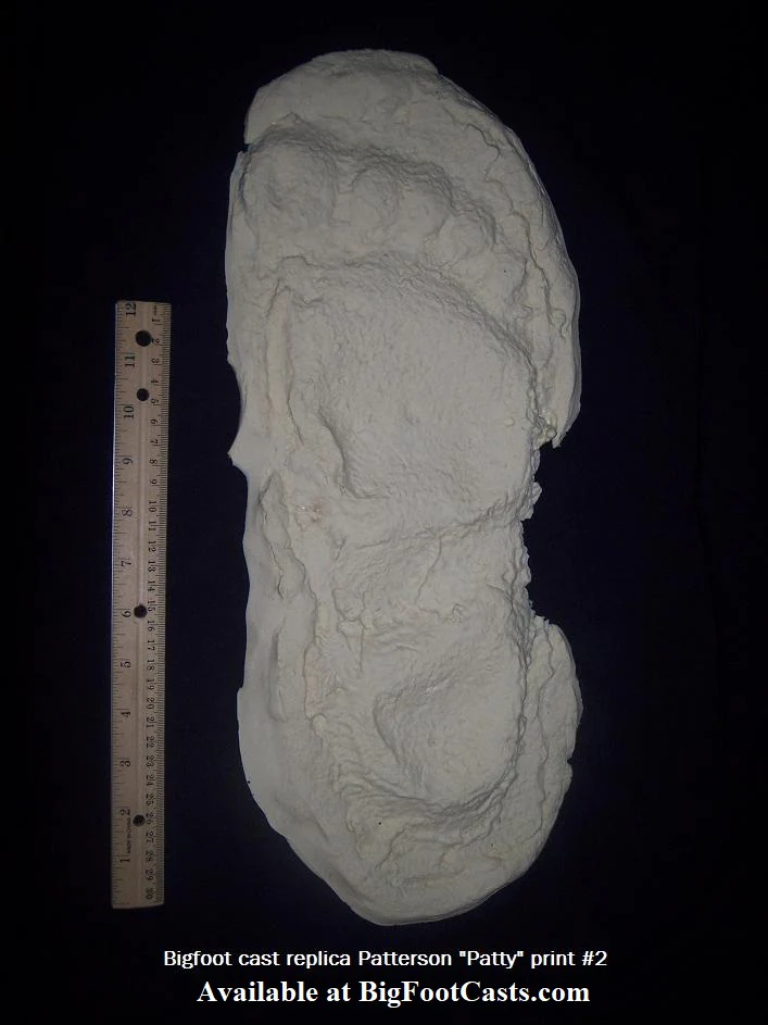 1967 Bigfoot print Patty #3 Midtarsal Break Found by Bob Titmus 1967 Capturing Bigfoot Patterson Gimlin Footprint Cast - Image 5