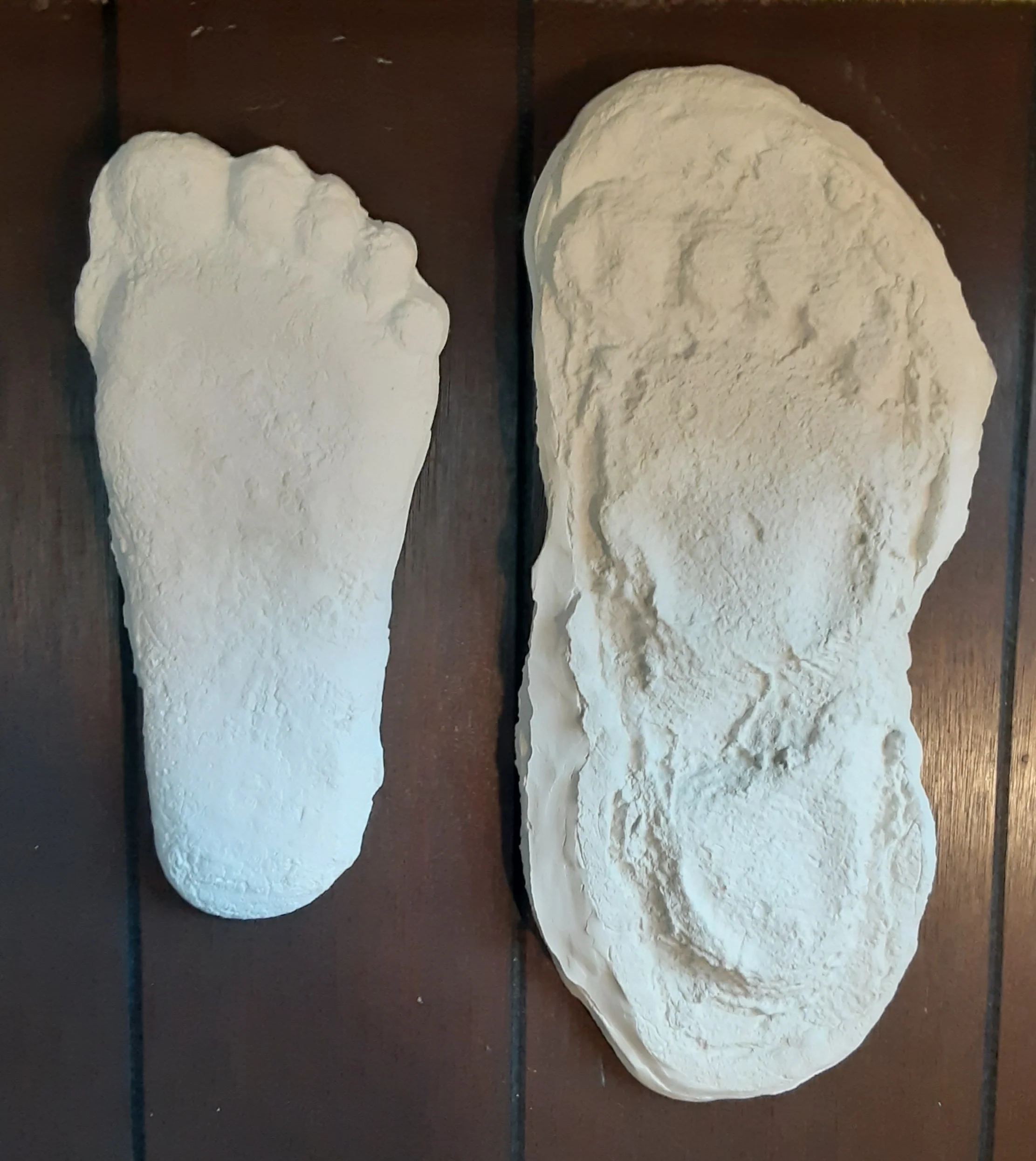 1967 Bigfoot print Patty #3 Midtarsal Break Found by Bob Titmus 1967 Capturing Bigfoot Patterson Gimlin Footprint Cast - Image 6