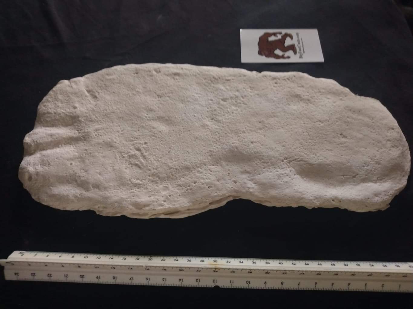 1971 Fouke Monster Bigfoot cast - Image 5