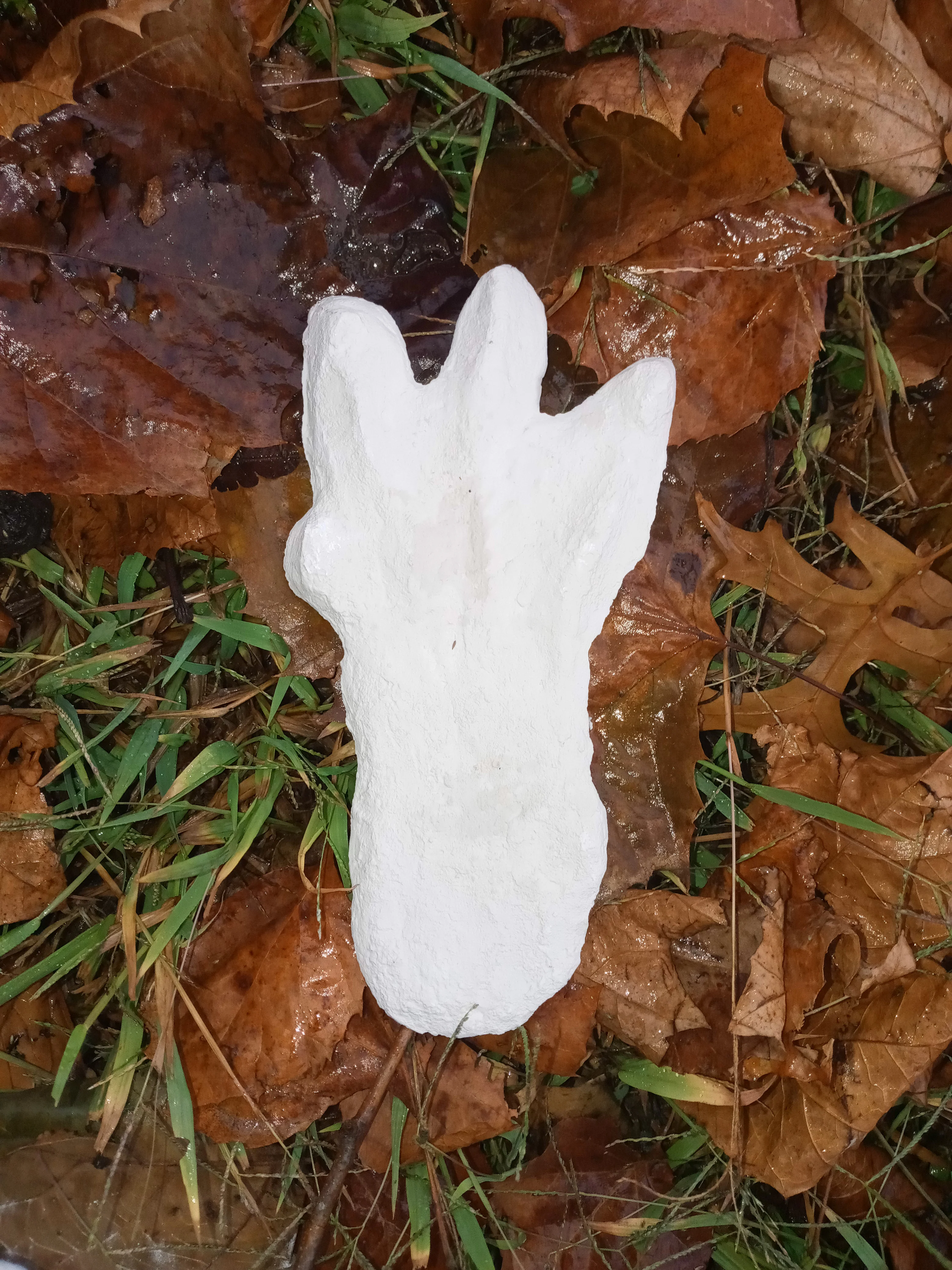 1974 Honey Island Swamp Monster Track Cast Replica footprint impression Cryptozoology Cryptid - Image 2