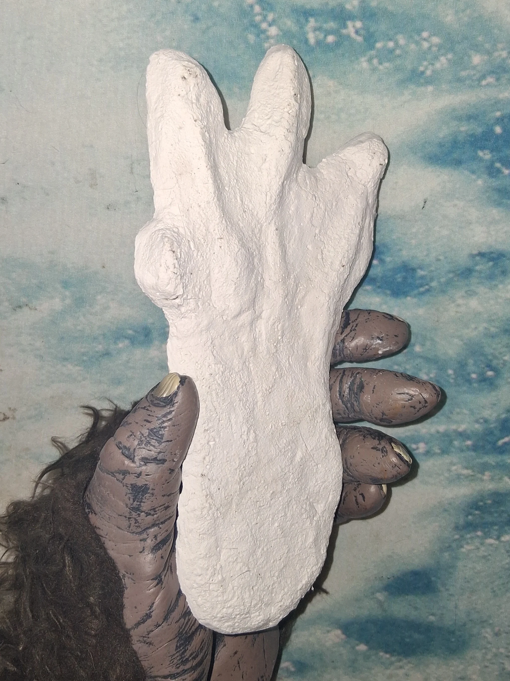 1974 Honey Island Swamp Monster Track #1 Cast Replica footprint impression Cryptozoology Cryptid - Image 8