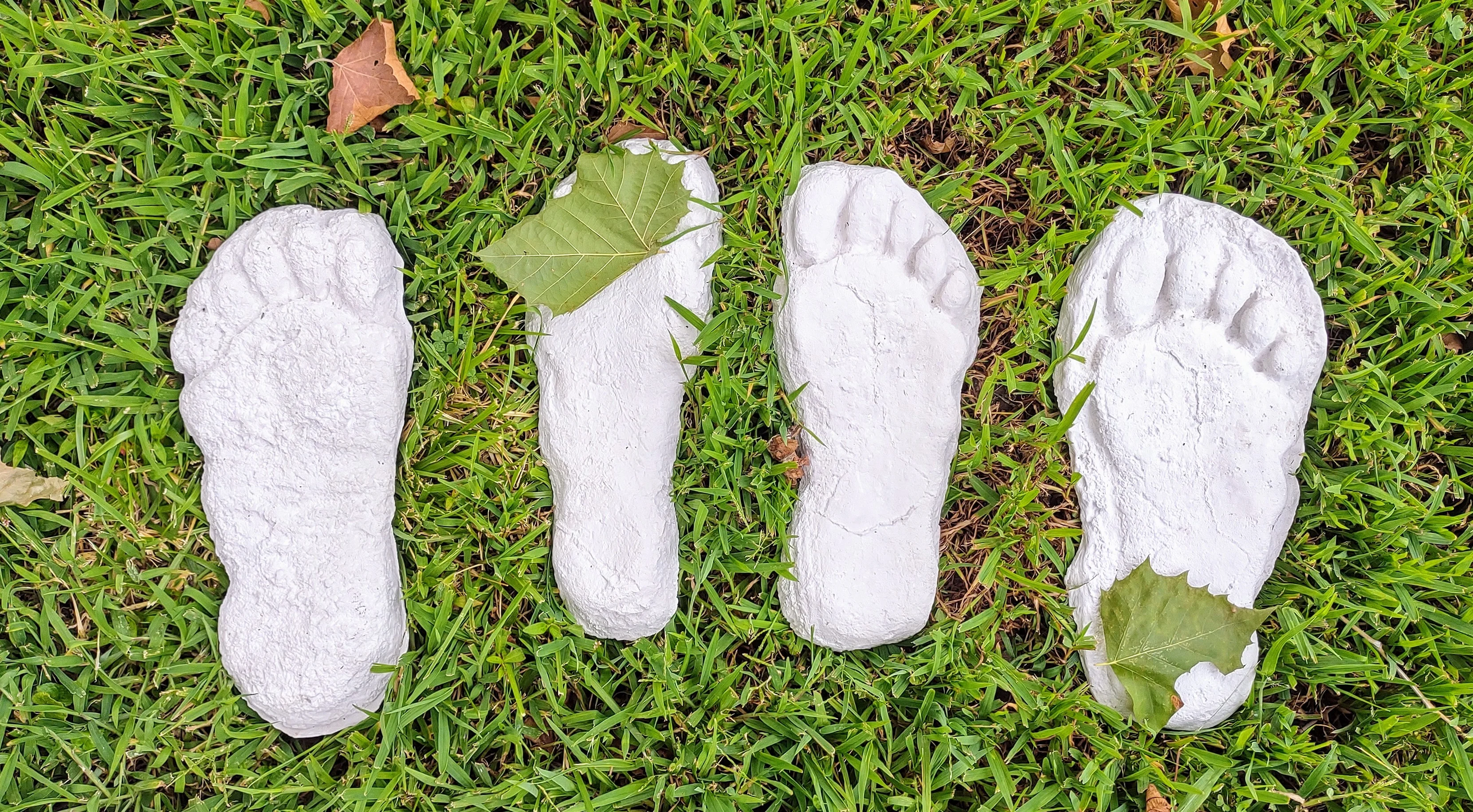 1982 Grays Harbor Heryford Bigfoot print cast "A" - Image 6
