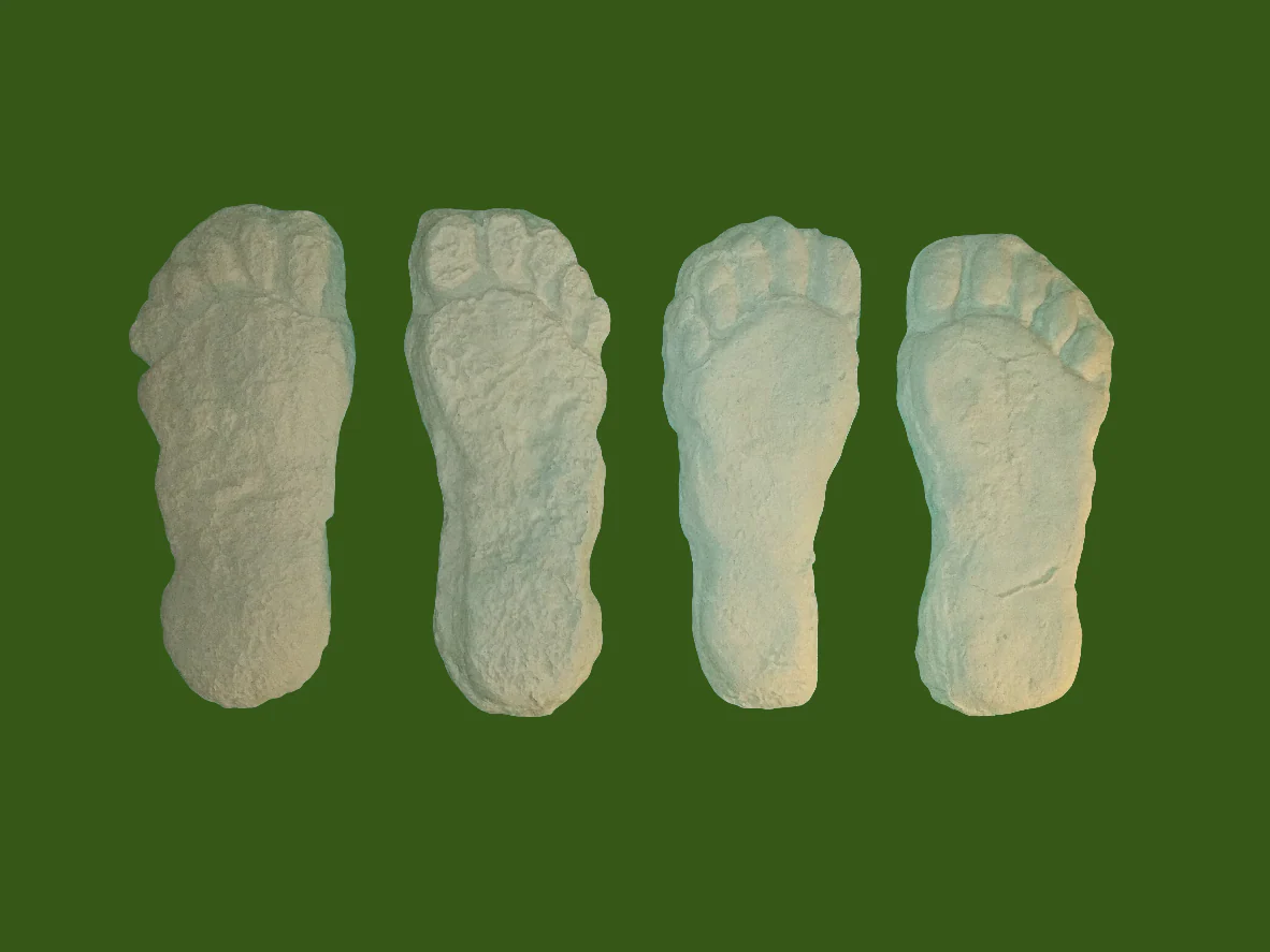 1982 Grays Harbor Heryford Bigfoot print cast "B" - Image 8
