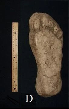 1982 Grays Harbor Heryford Bigfoot print cast "D"