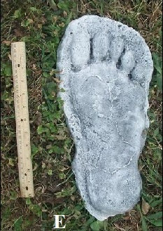 1982 Grays Harbor Heryford Bigfoot print cast "E" - Image 2