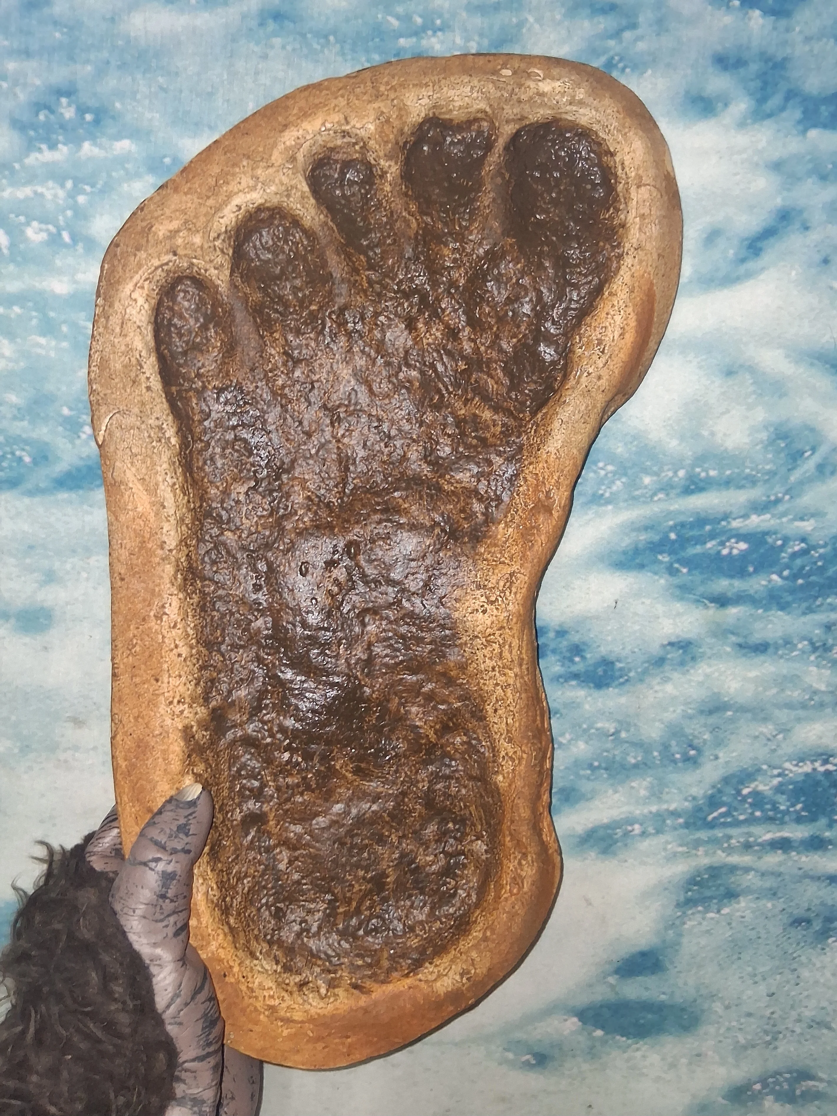 1983 Bigfoot Grover Krantz LIMITED EDITION TRACK CAST Sasquatch footprint cast - Image 6