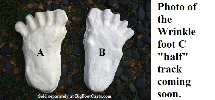 1984 Paul Freeman's "Wrinkle Foot" cast  "C" half track Bigfoot Sasquatch footprint track cast replicas - Image 2