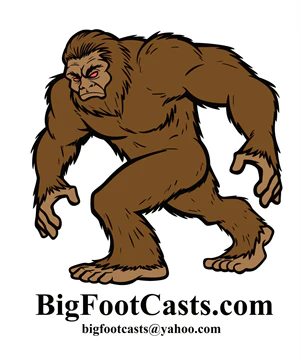 1984 Paul Freeman's "Wrinkle Foot" cast  "C" half track Bigfoot Sasquatch footprint track cast replicas - Image 6