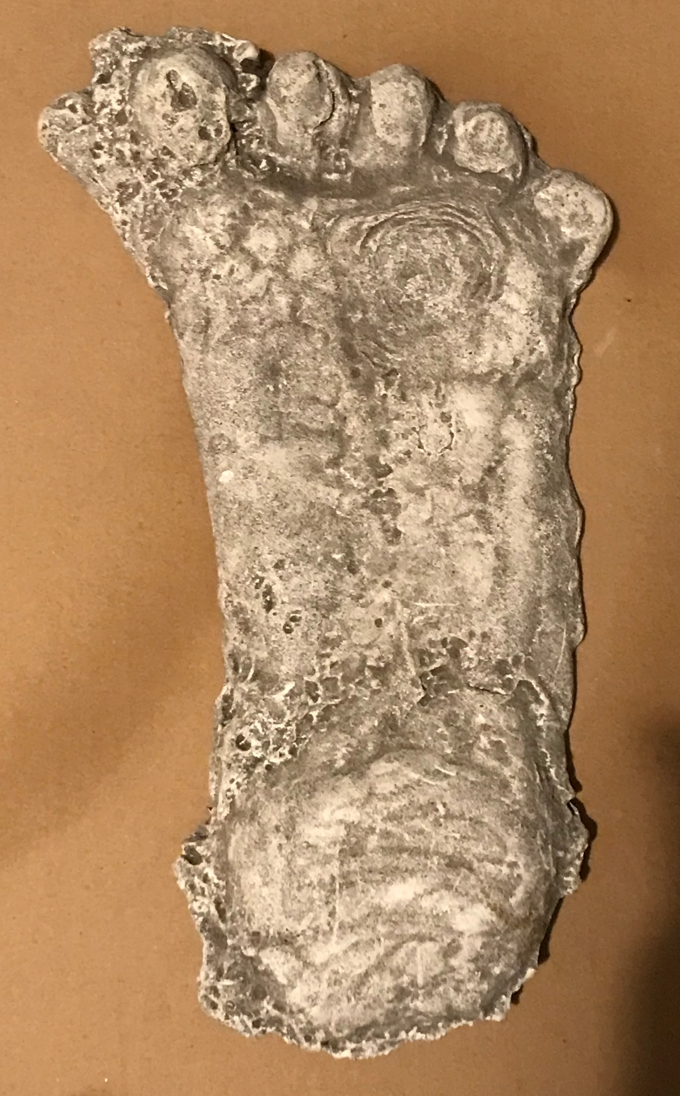 1990 Bigfoot Mount Rainier Mt. Rainier Track Cast footprint replica - Image 12