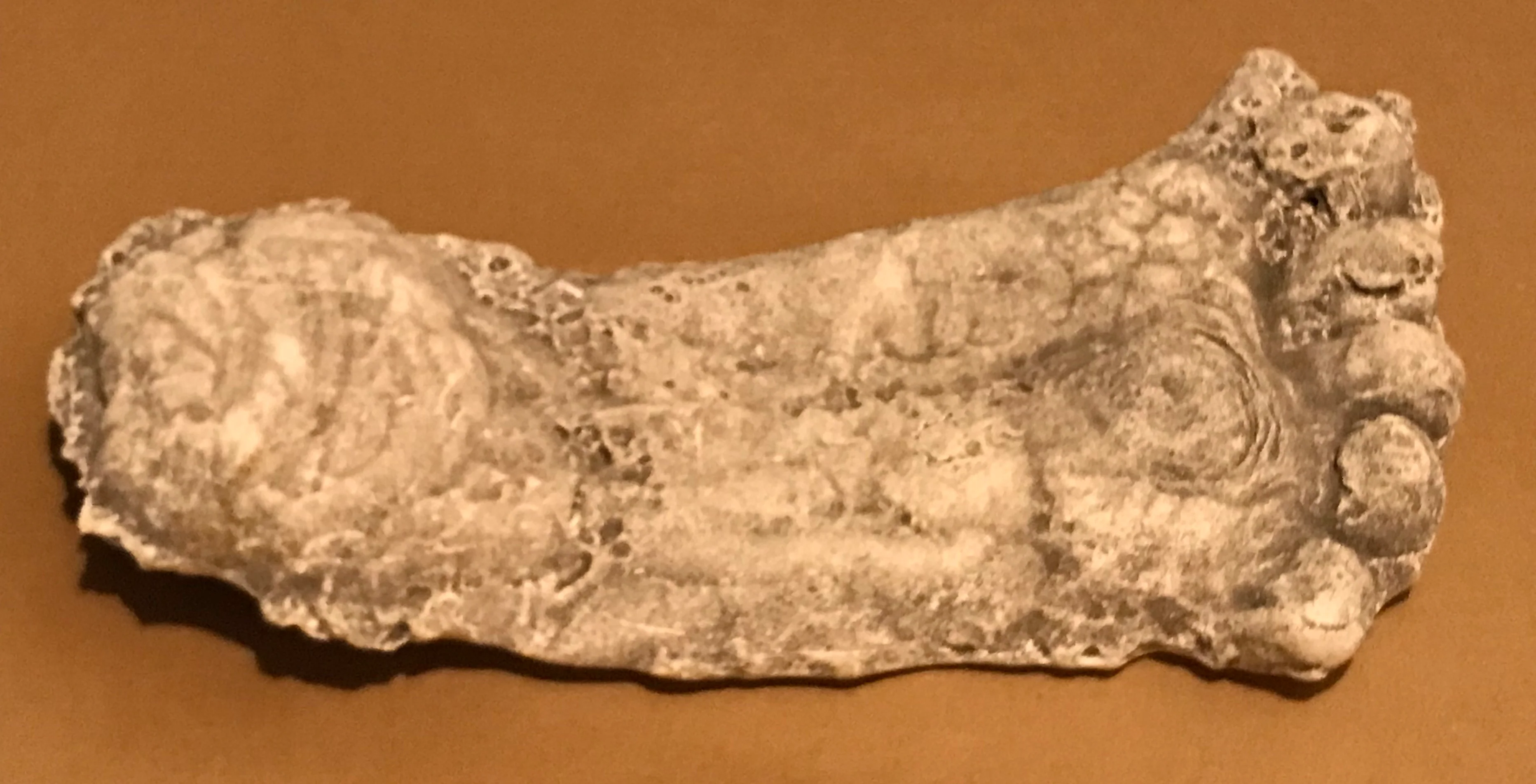 1990 Bigfoot Mount Rainier Mt. Rainier Track Cast footprint replica - Image 14