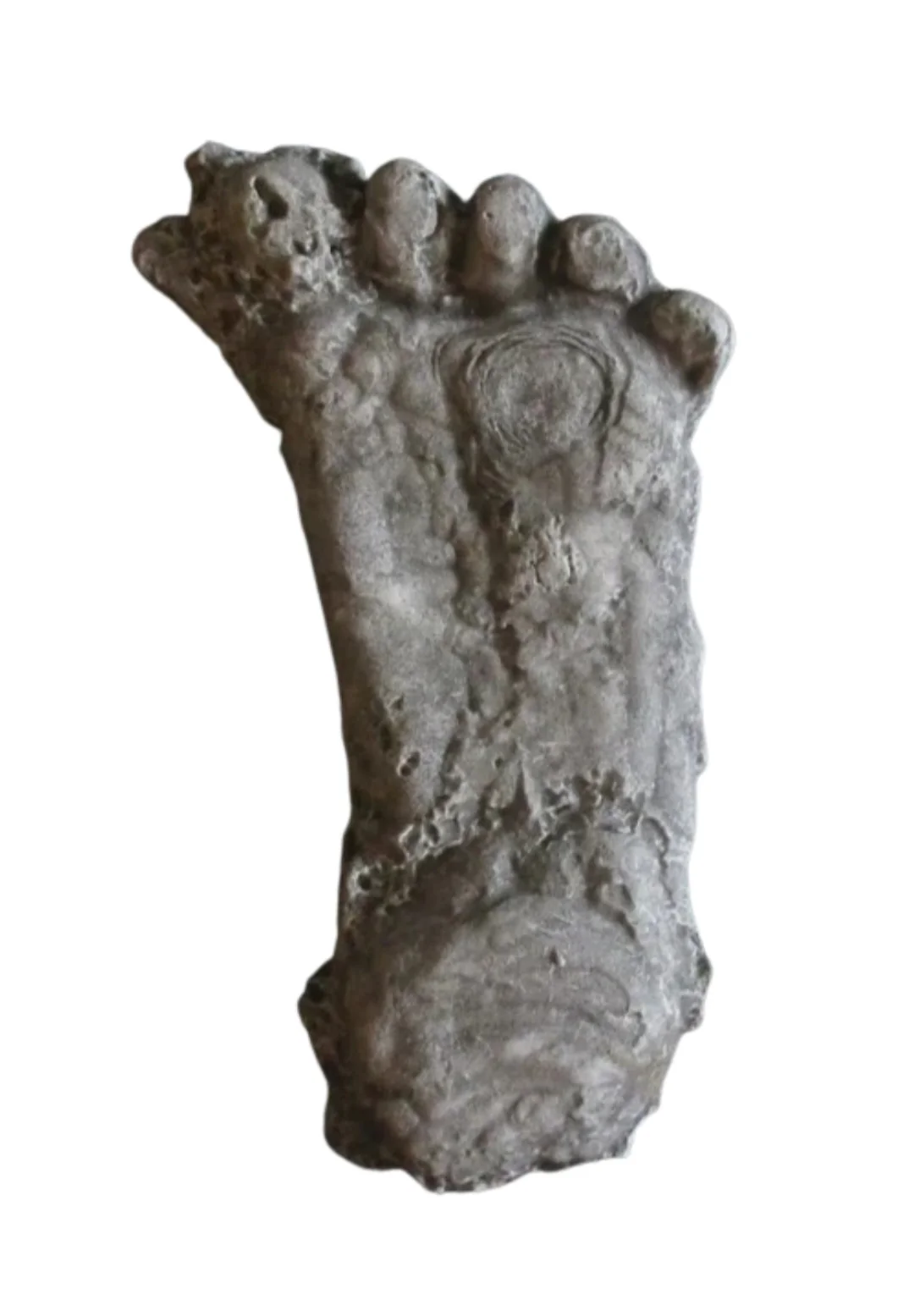 1990 Bigfoot Mount Rainier Mt. Rainier Track Cast footprint replica - Image 3