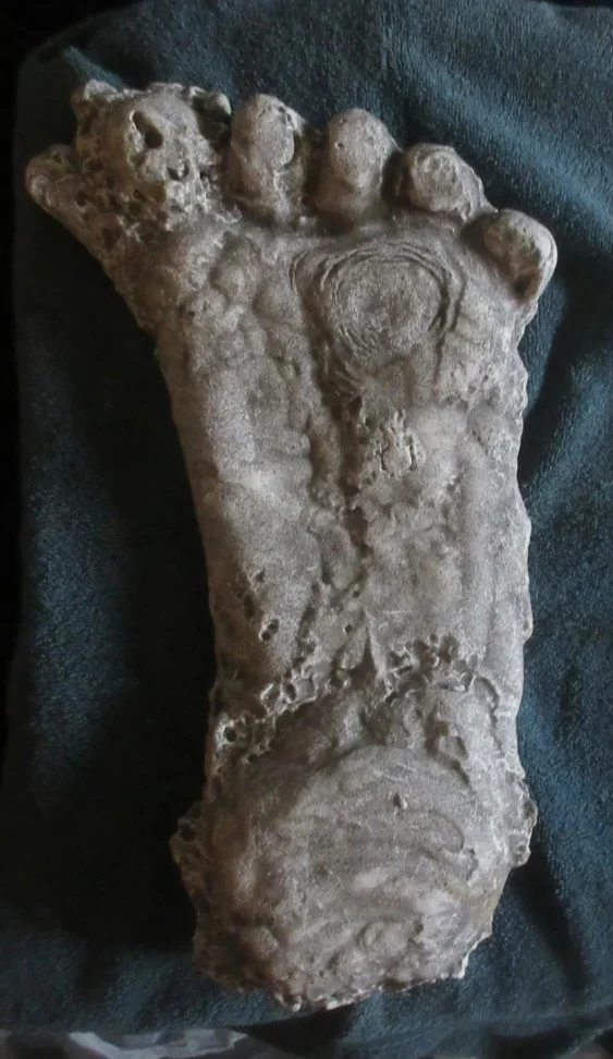 1990 Bigfoot Mount Rainier Mt. Rainier Track Cast footprint replica - Image 7