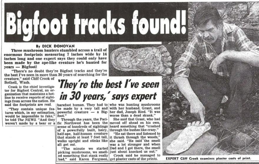 1990 Bigfoot Mount Rainier Mt. Rainier Track Cast footprint replica - Image 8