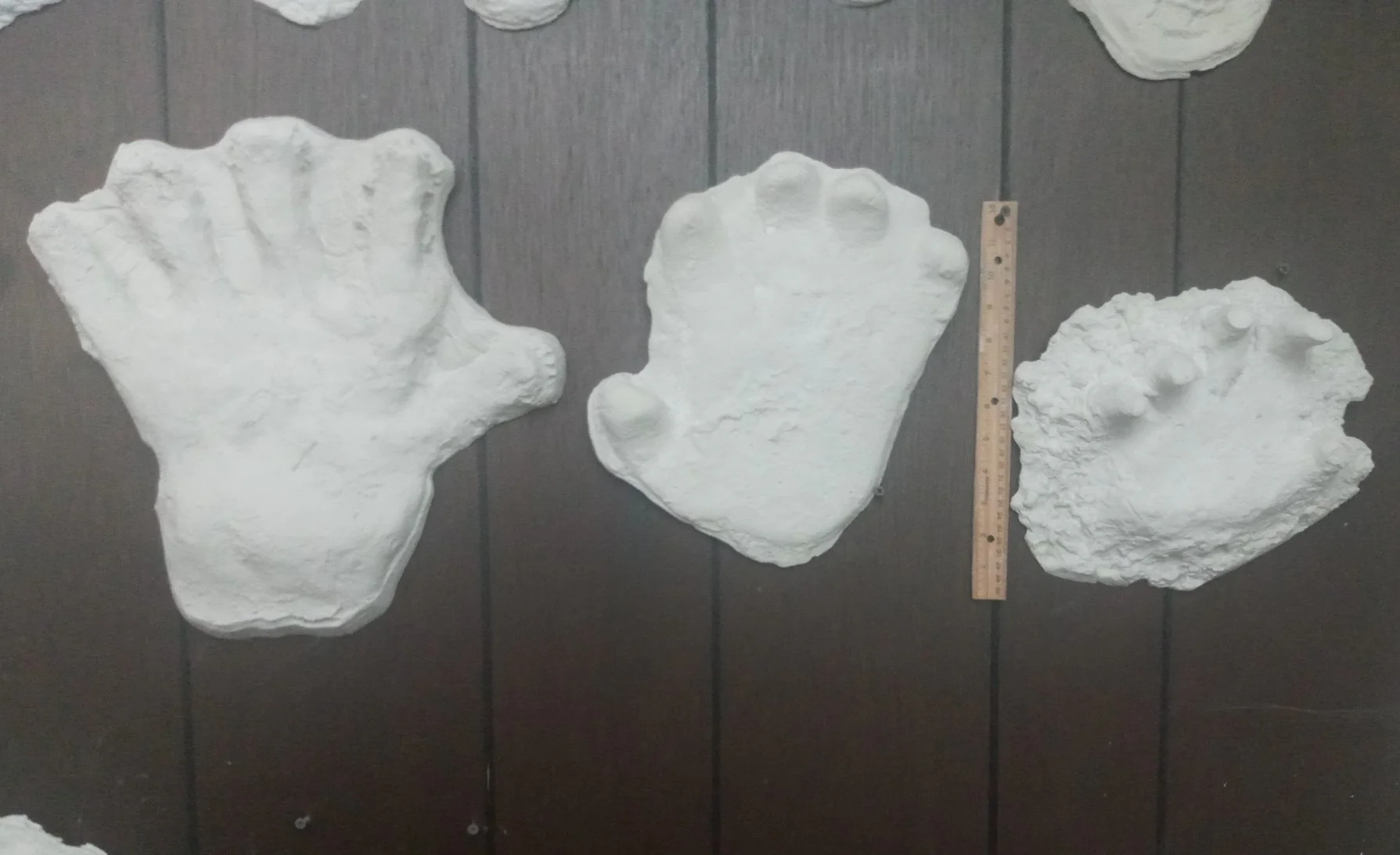 1994 Bigfoot Hand cast #3 Bigfoot (Sasquatch) Freeman handprint cast - Image 6