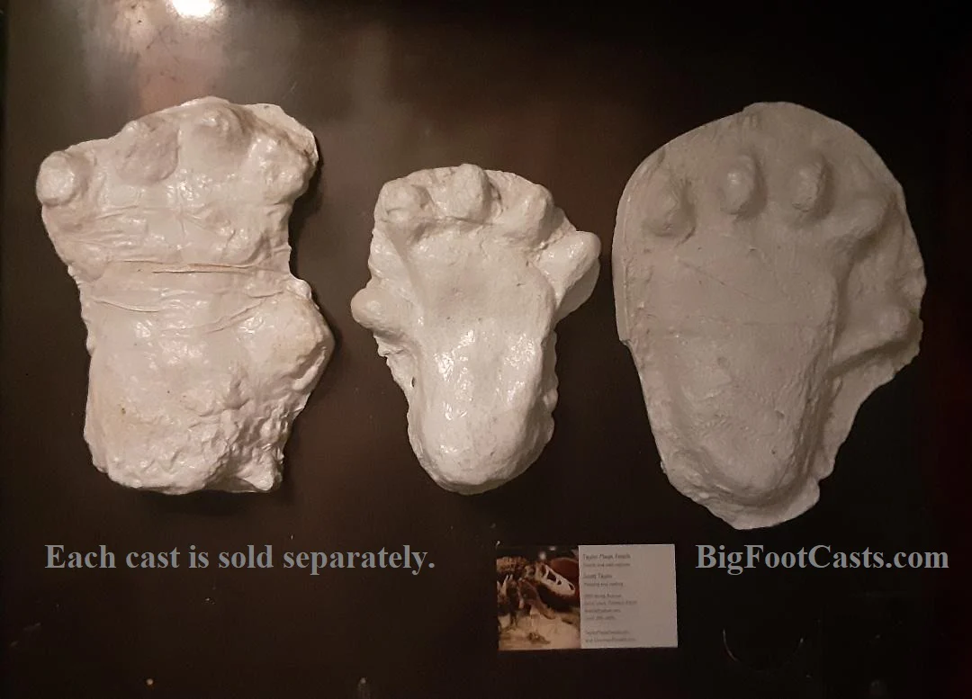 2013 Orang Pendek #2 footprint cast replica #2 - Image 3