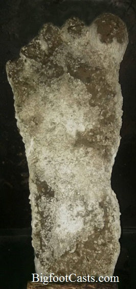 2015 Stomping Ground Bigfoot Foot cast - Image 3