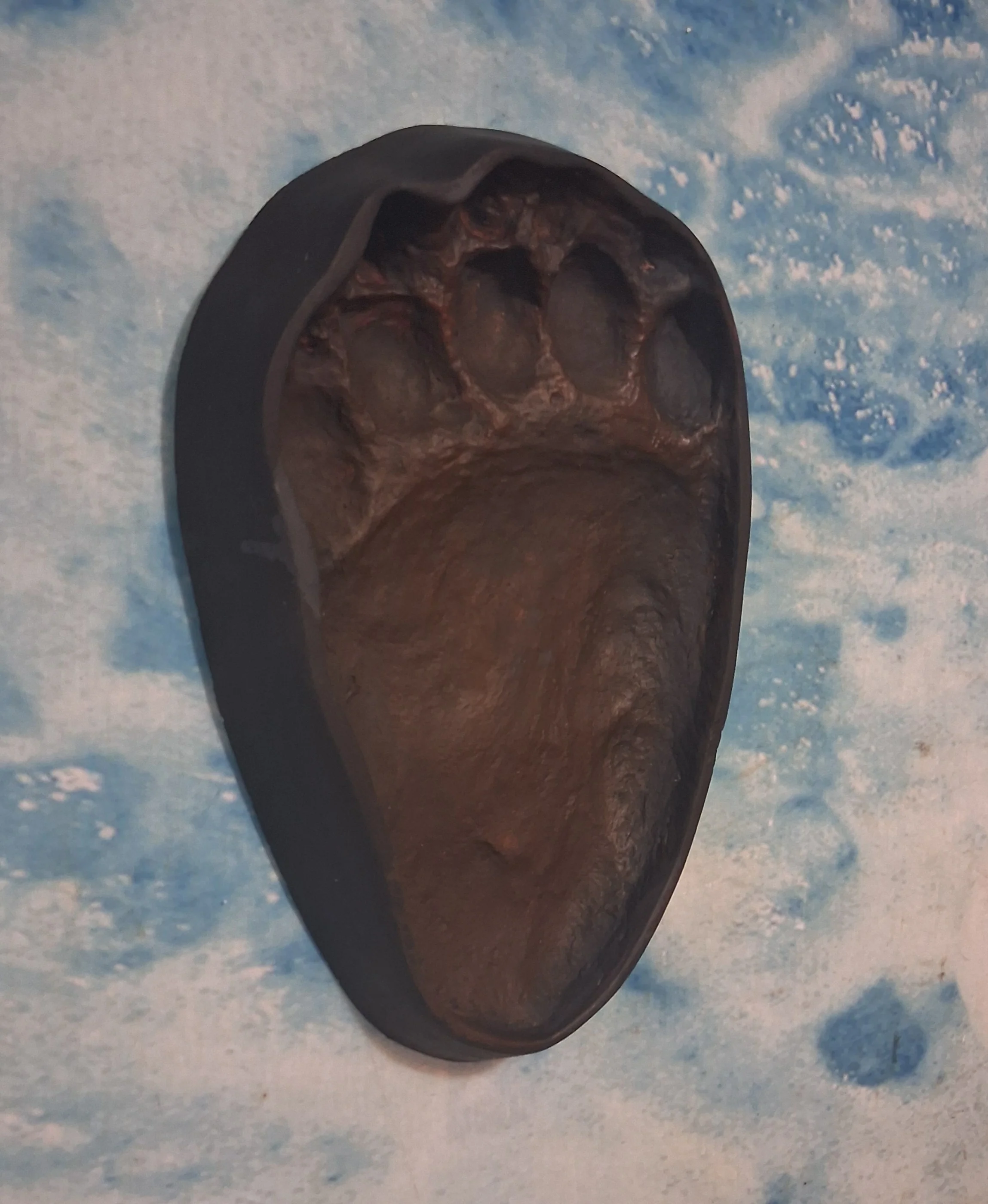 Bear: Footprint Adult Black Bear Inverse Footprint cast replica Inverted - Image 5
