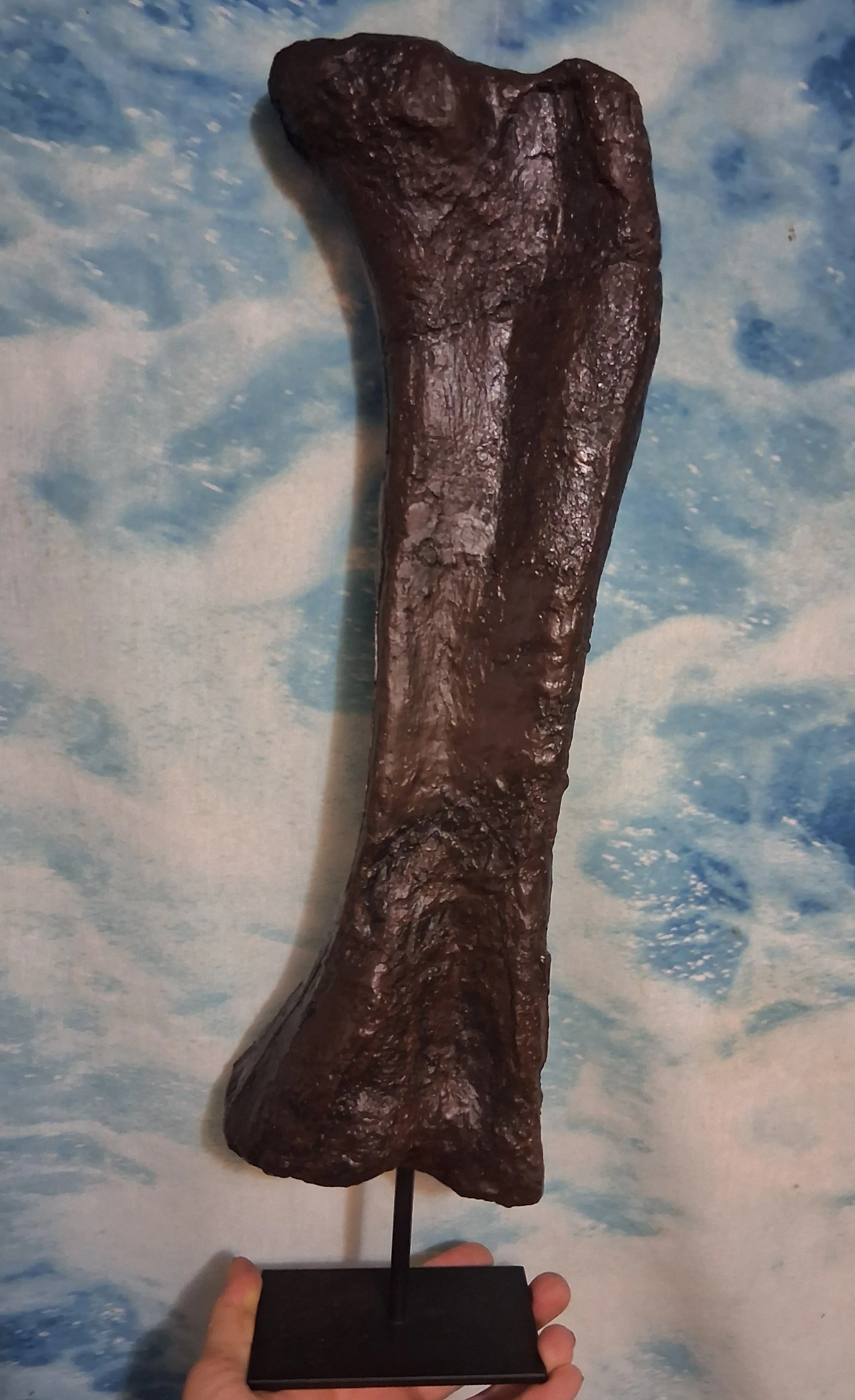 Bellusaurus Femur cast replica dinosaur - Image 3