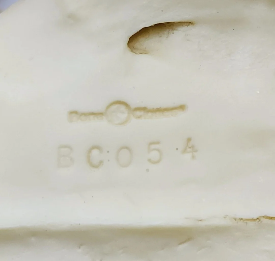 Lion: African Lion Skull Male Bone Clones BC-054 Updated 2025 - Image 8
