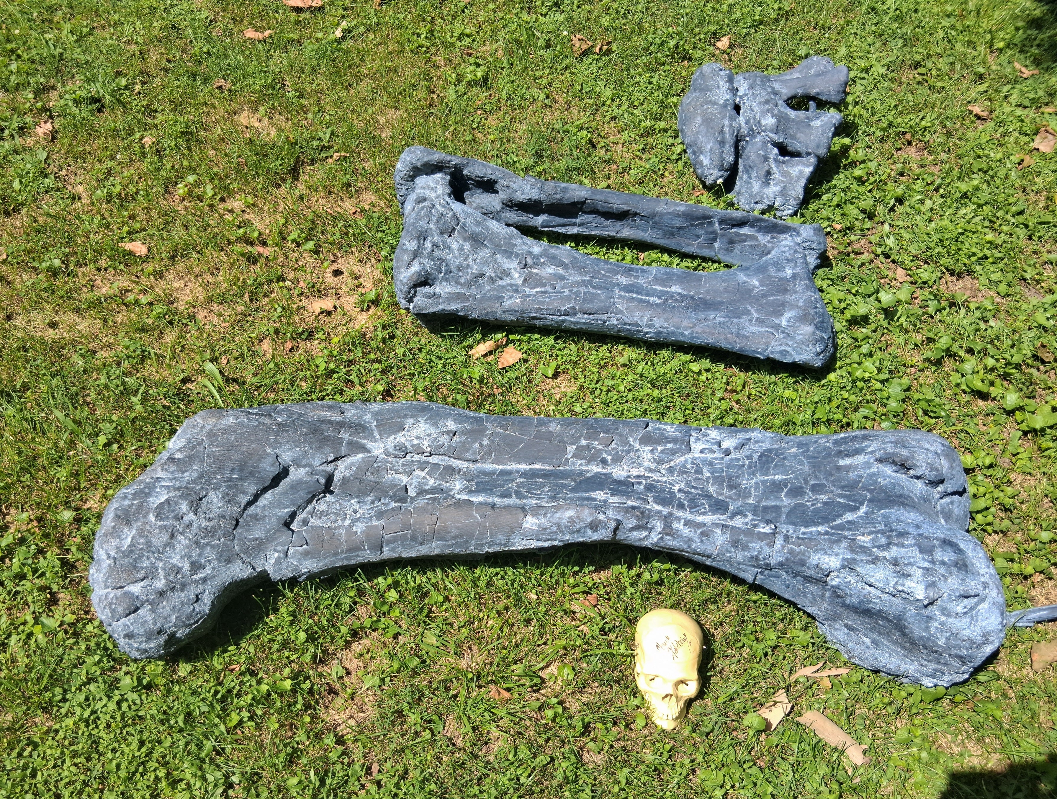Camarasaurus leg cast replica - Image 14