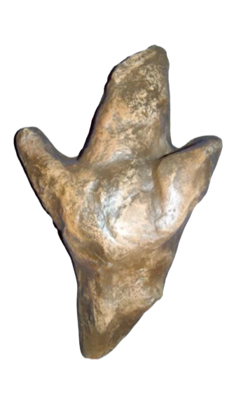 Carnosaur Dinosaur Track or Footprint Dinosaur track cast replica - Image 2