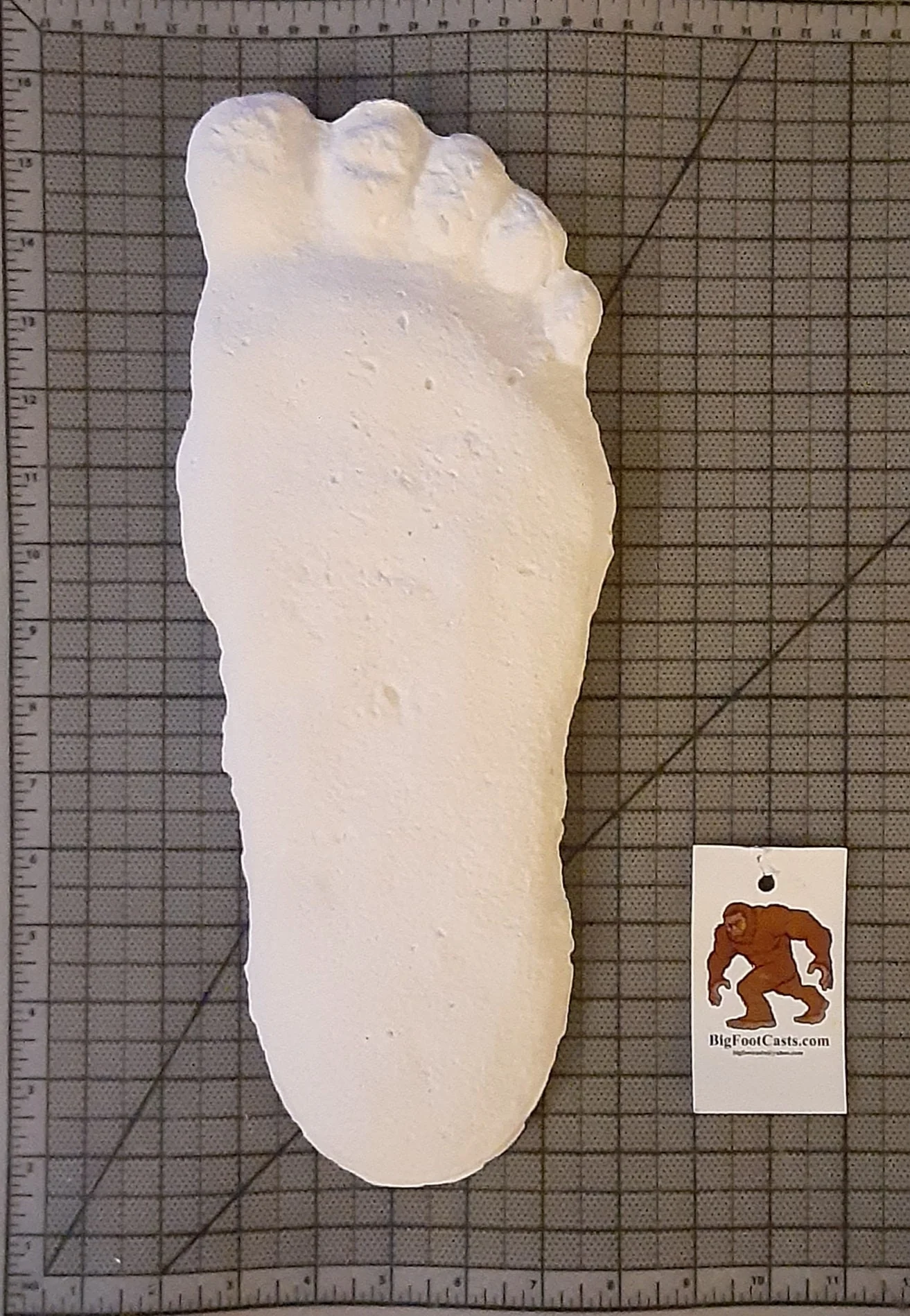Clearance Bigfoot Gimlin / Titmus cast 10/29/1967 - Image 6