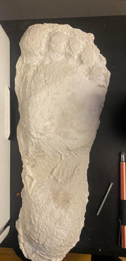 1967 New Bigfoot Patterson "Patty #2" track footprint cast - Image 3