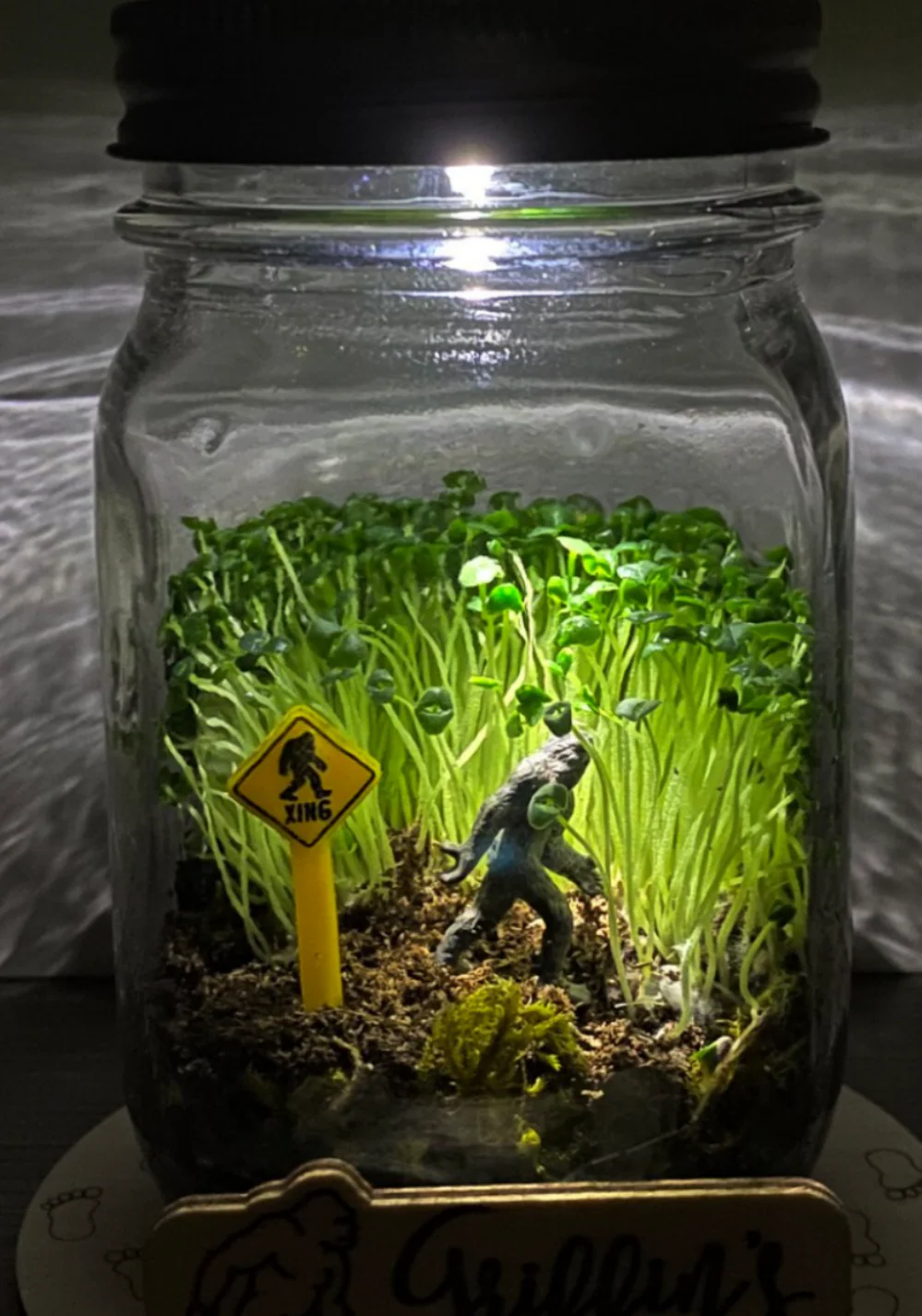 Bigfoot Miniature Bigfoot - Mini Sasquatch - Terrarium Supplies - Teeny Tiny Bigfoot - Diorama Supplies Soap Making - Image 6