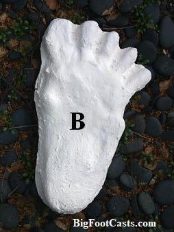 1984 Paul Freeman's "Wrinkle Foot" cast "B" Bigfoot Sasquatch footprint track cast replicas