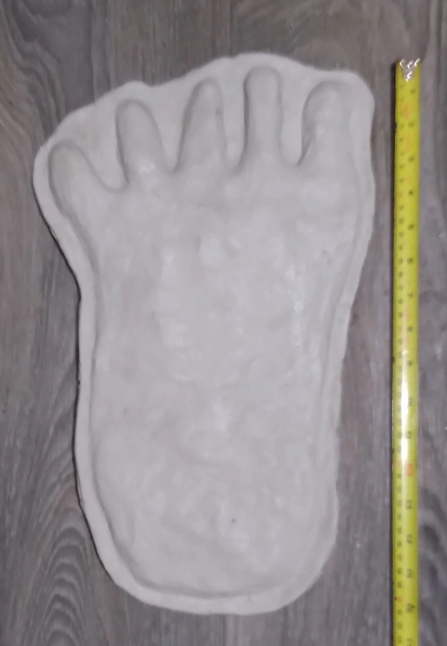 1976(?) Yowie Australian Yowie Footprint Yeti Footprint track cast Cryptozoology Yowie Bigfoot Cast Replica Footprint