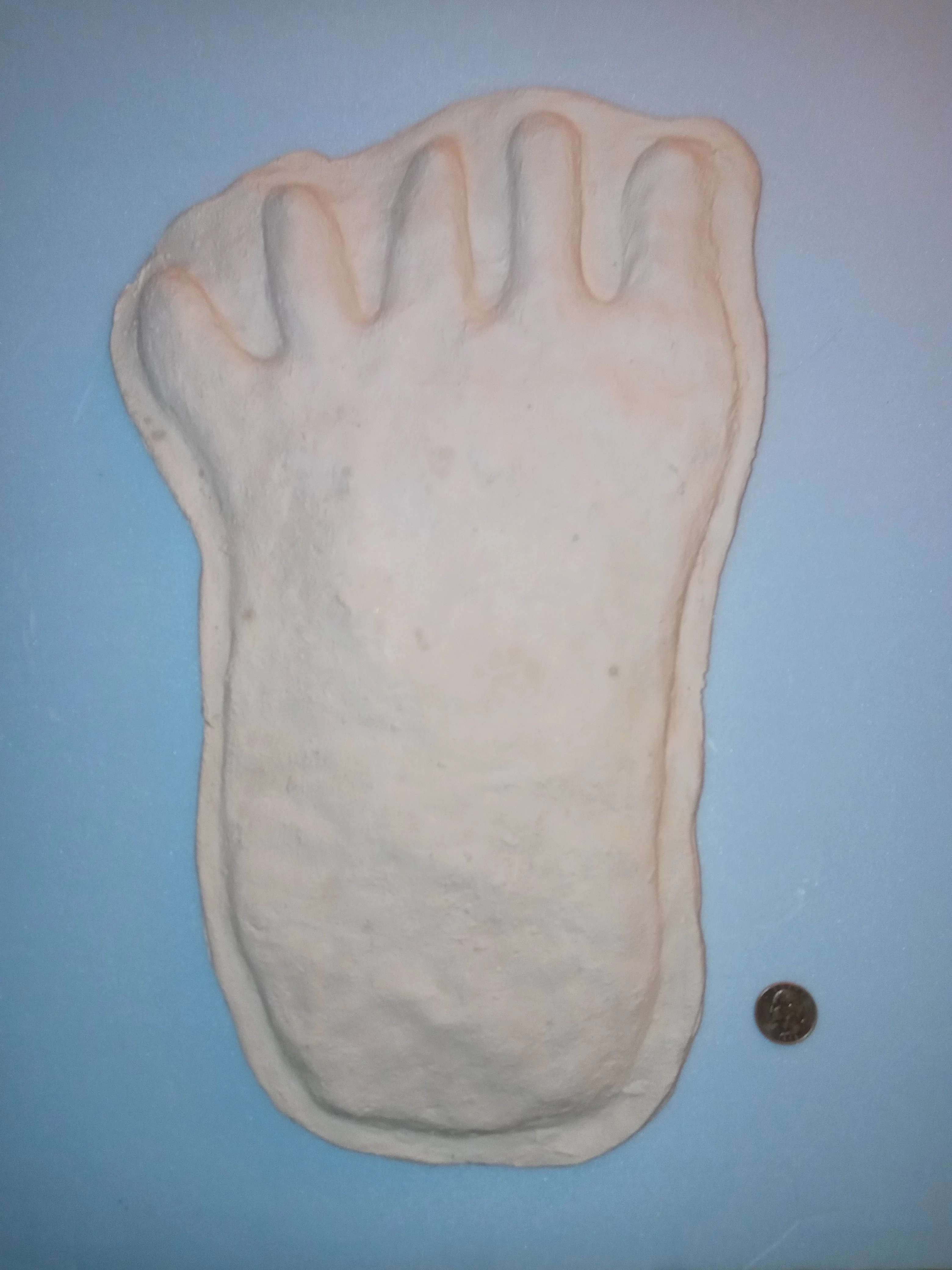 1976(?) Yowie Australian Yowie Footprint Yeti Footprint track cast Cryptozoology Yowie Bigfoot Cast Replica Footprint - Image 13