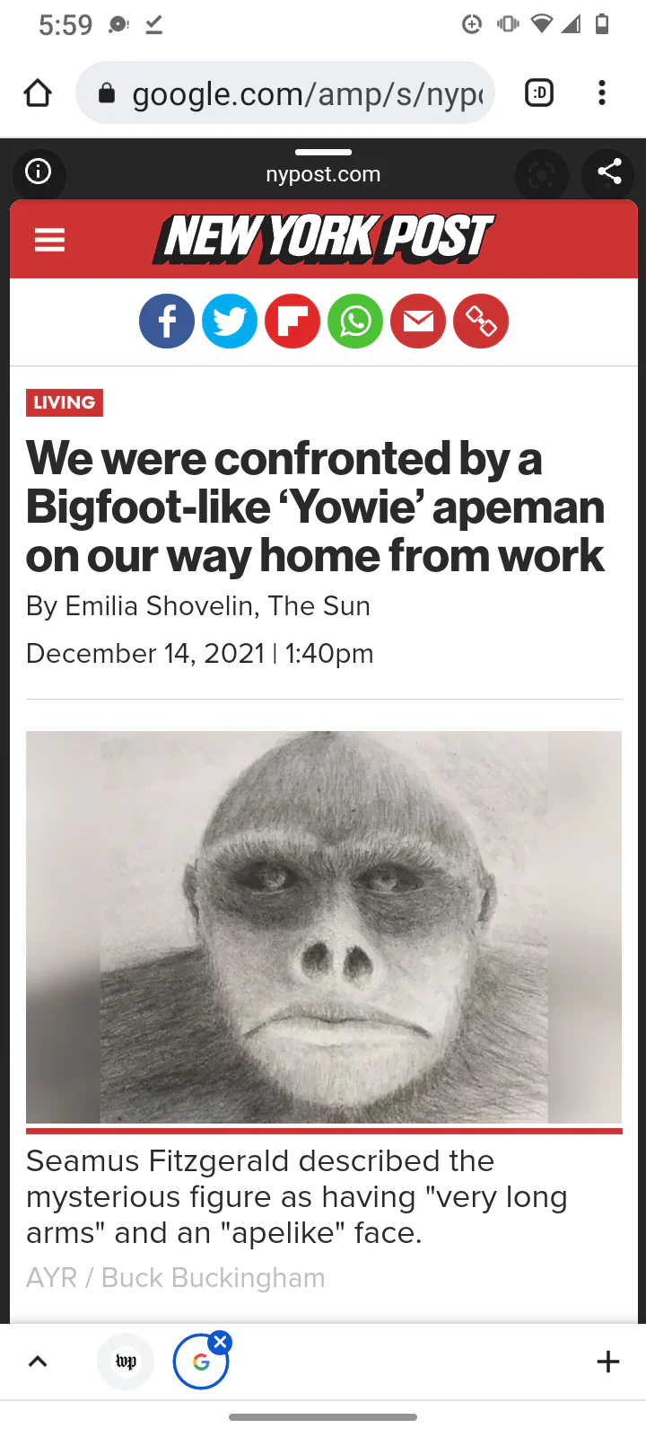 1976(?) Yowie Australian Yowie Footprint Yeti Footprint track cast Cryptozoology Yowie Bigfoot Cast Replica Footprint - Image 17