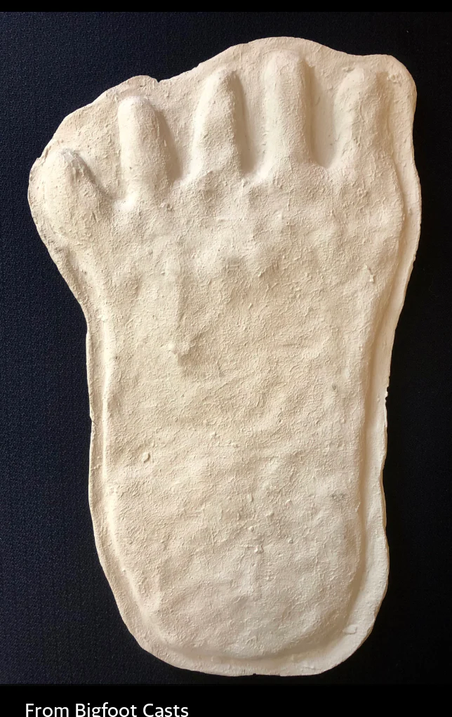 1976(?) Yowie Australian Yowie Footprint Yeti Footprint track cast Cryptozoology Yowie Bigfoot Cast Replica Footprint - Image 2