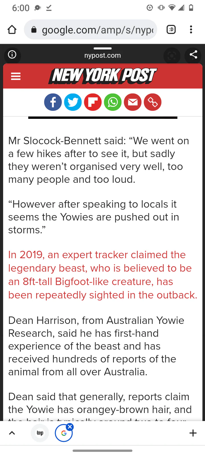 1976(?) Yowie Australian Yowie Footprint Yeti Footprint track cast Cryptozoology Yowie Bigfoot Cast Replica Footprint - Image 23