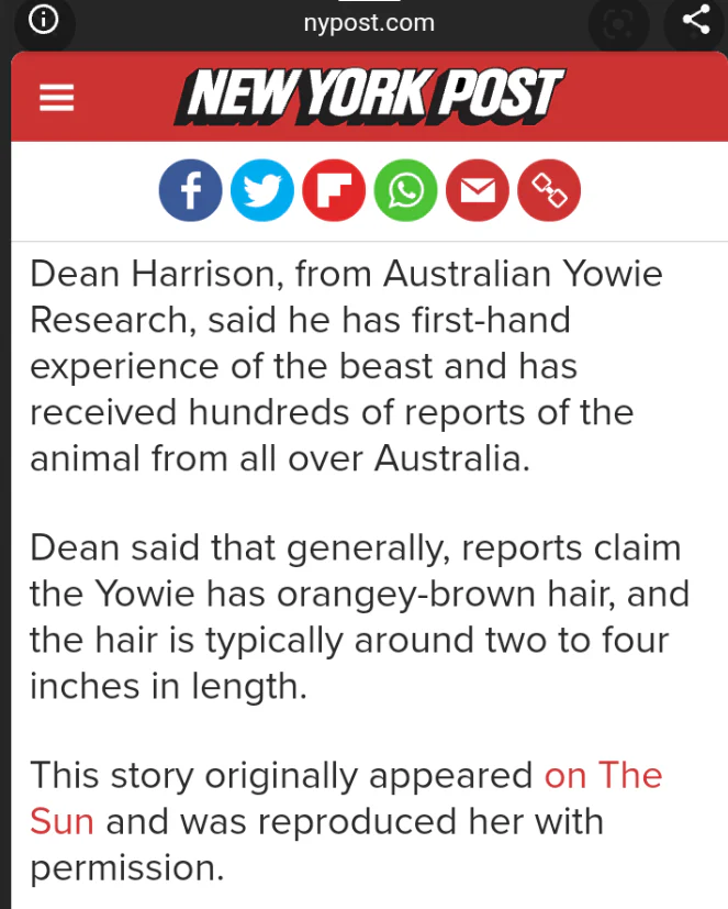 1976(?) Yowie Australian Yowie Footprint Yeti Footprint track cast Cryptozoology Yowie Bigfoot Cast Replica Footprint - Image 24