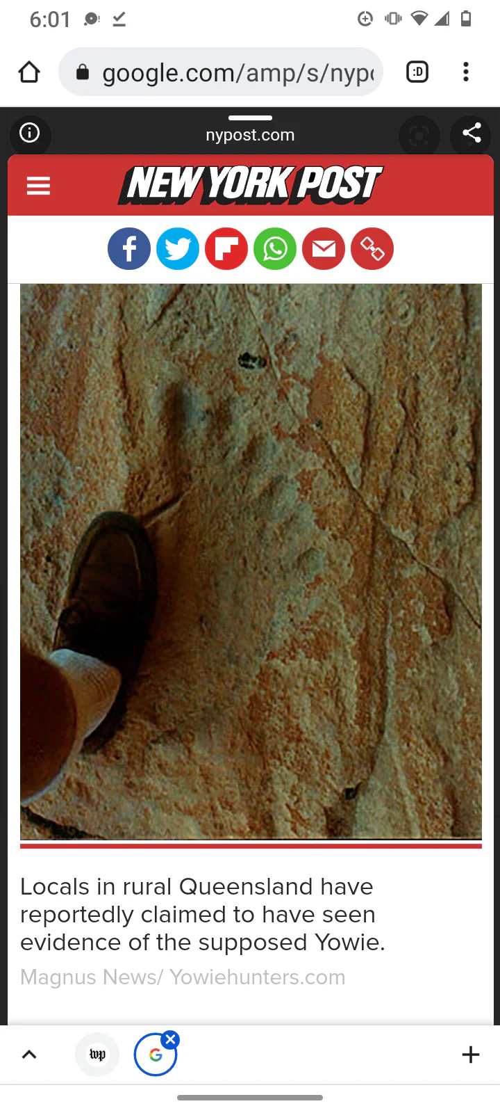 1976(?) Yowie Australian Yowie Footprint Yeti Footprint track cast Cryptozoology Yowie Bigfoot Cast Replica Footprint - Image 25