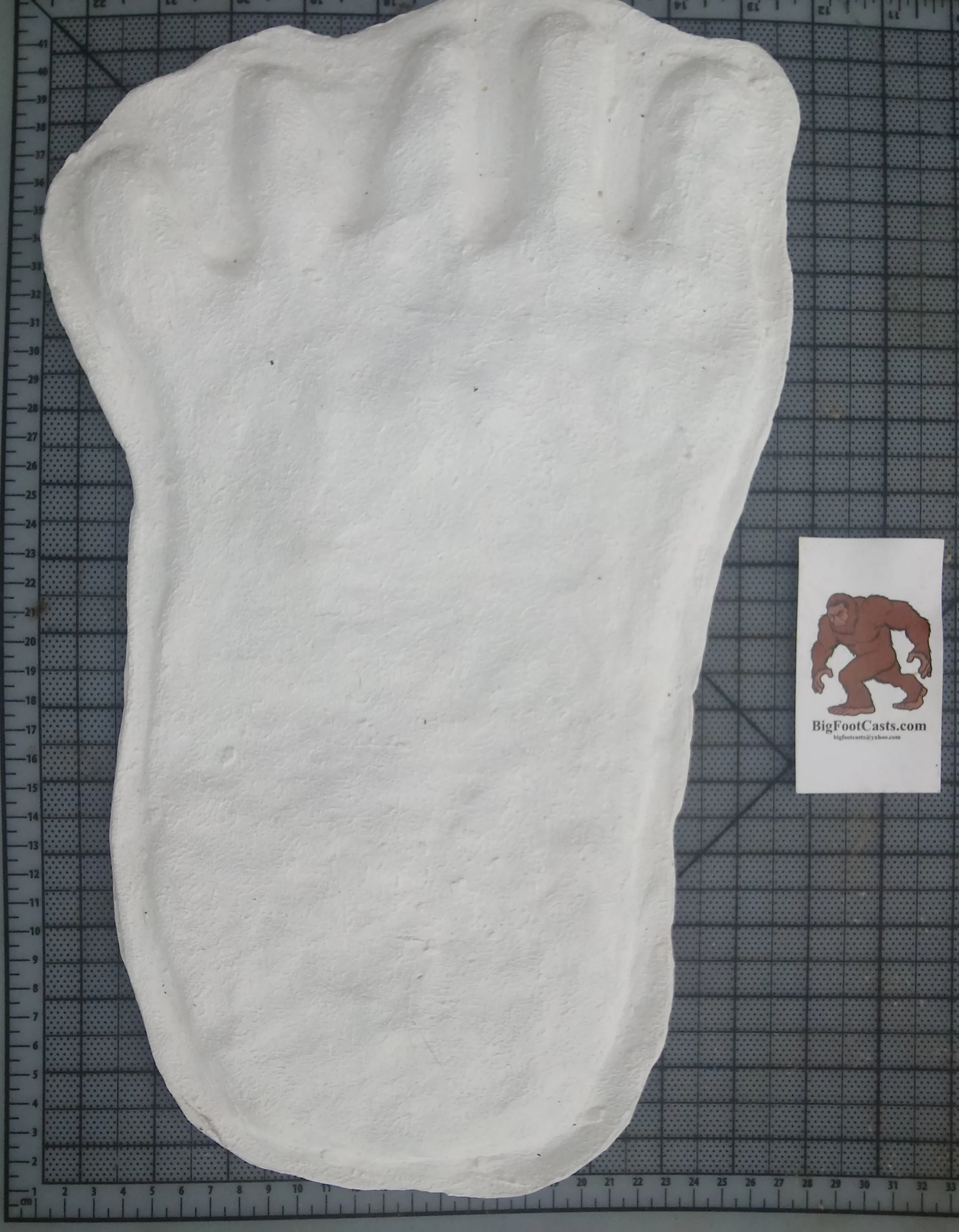 1976(?) Yowie Australian Yowie Footprint Yeti Footprint track cast Cryptozoology Yowie Bigfoot Cast Replica Footprint - Image 5