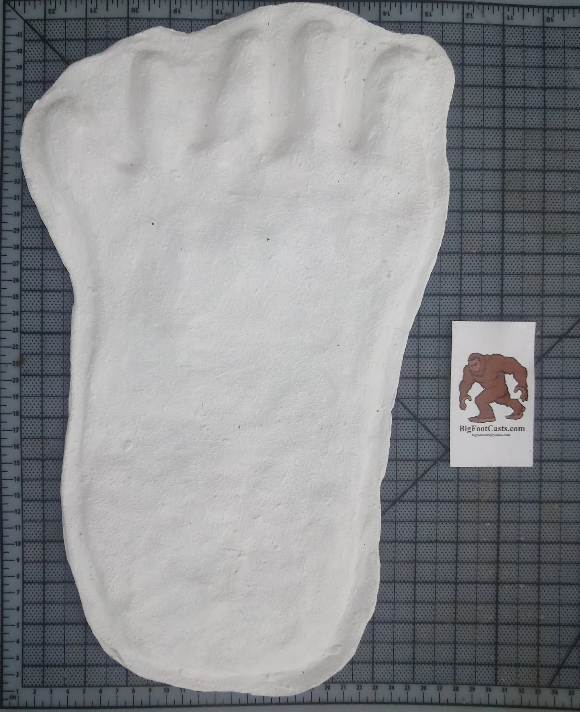 1976(?) Yowie Australian Yowie Footprint Yeti Footprint track cast Cryptozoology Yowie Bigfoot Cast Replica Footprint - Image 6