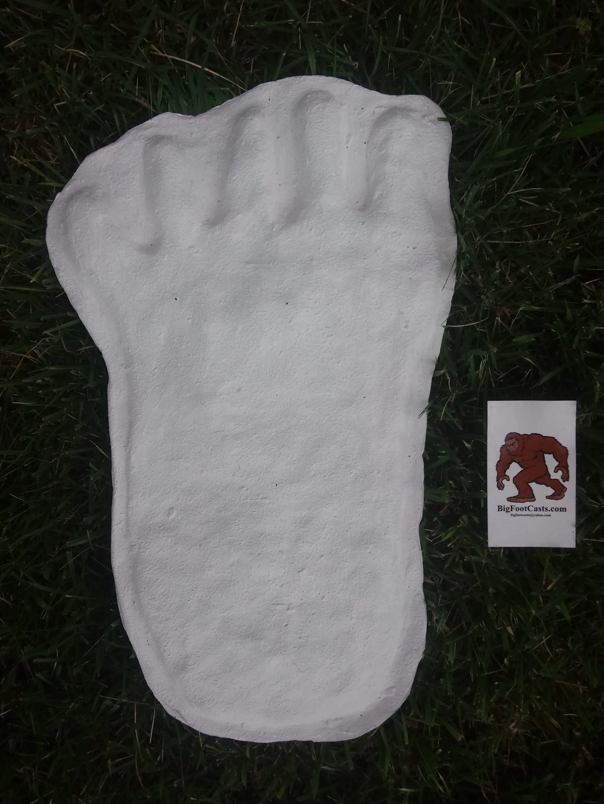 1976(?) Yowie Australian Yowie Footprint Yeti Footprint track cast Cryptozoology Yowie Bigfoot Cast Replica Footprint - Image 7