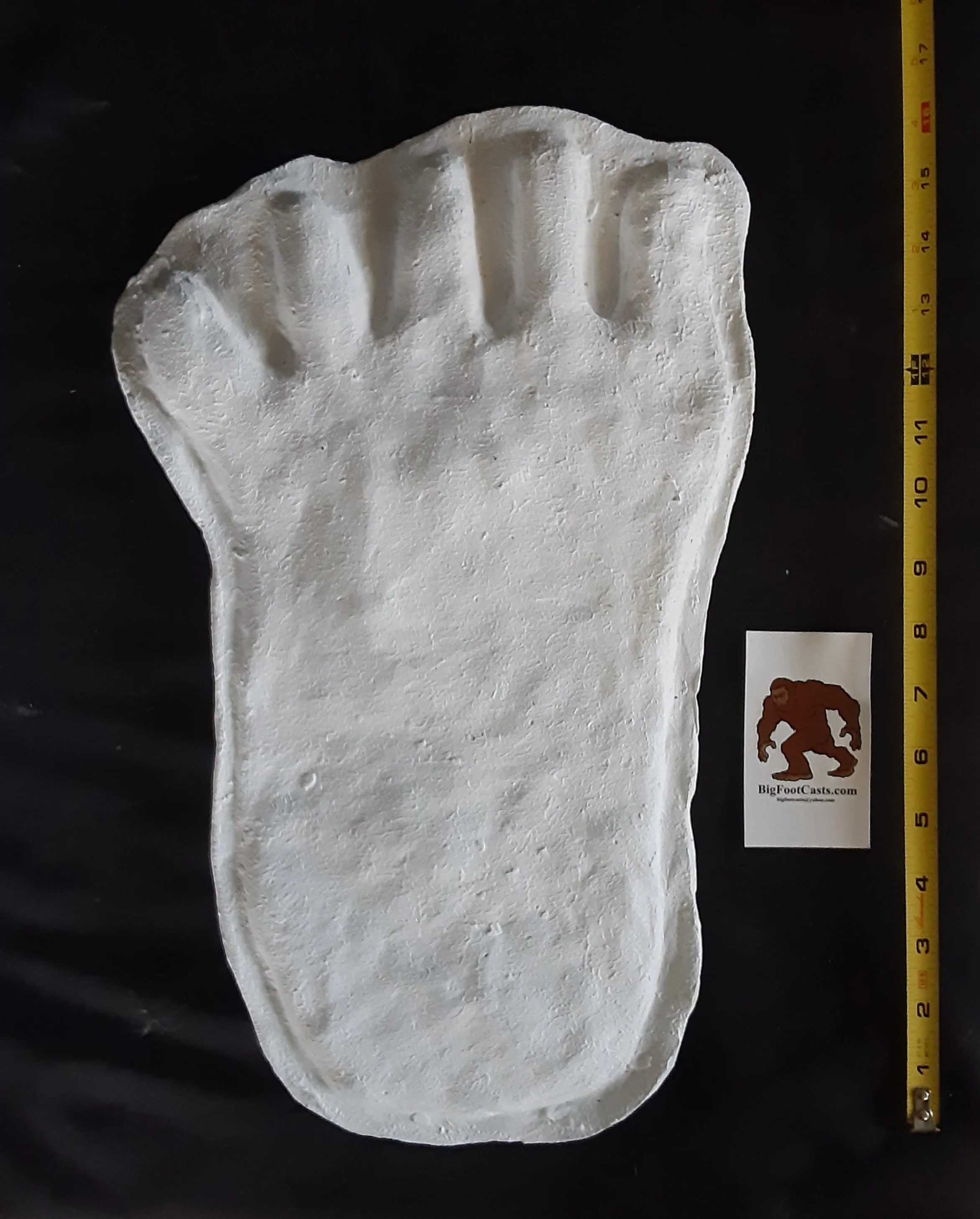 1976(?) Yowie Australian Yowie Footprint Yeti Footprint track cast Cryptozoology Yowie Bigfoot Cast Replica Footprint - Image 8