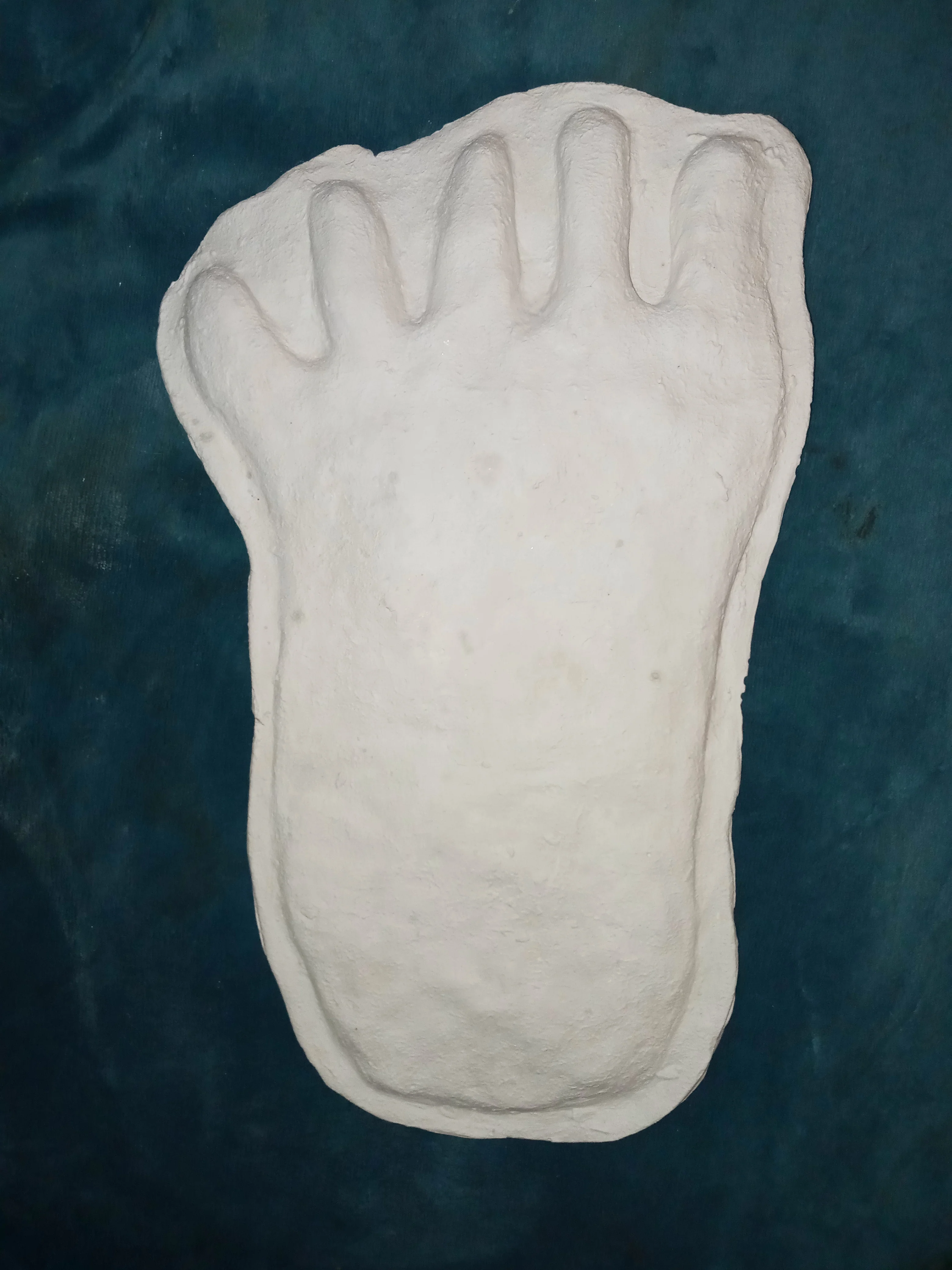 1976(?) Yowie Australian Yowie Footprint Yeti Footprint track cast Cryptozoology Yowie Bigfoot Cast Replica Footprint - Image 9