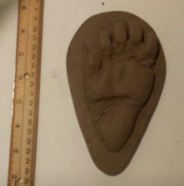 Bear: Footprint Juvenile Black Bear Footprint Cast Replica - Image 2