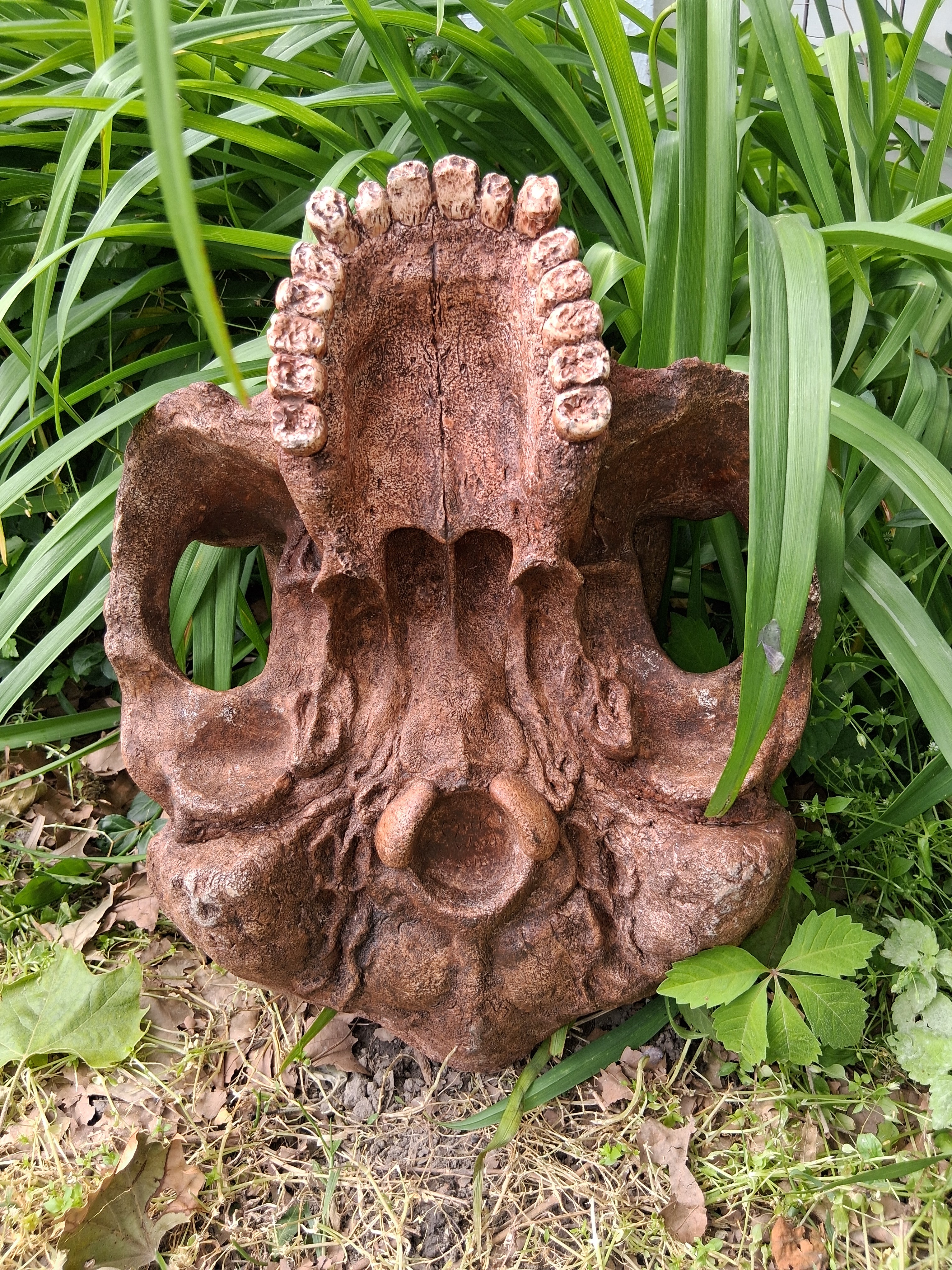 Bigfoot Skull Cast Artistic Interpretation by Master artist ( top of skull only). - Image 10