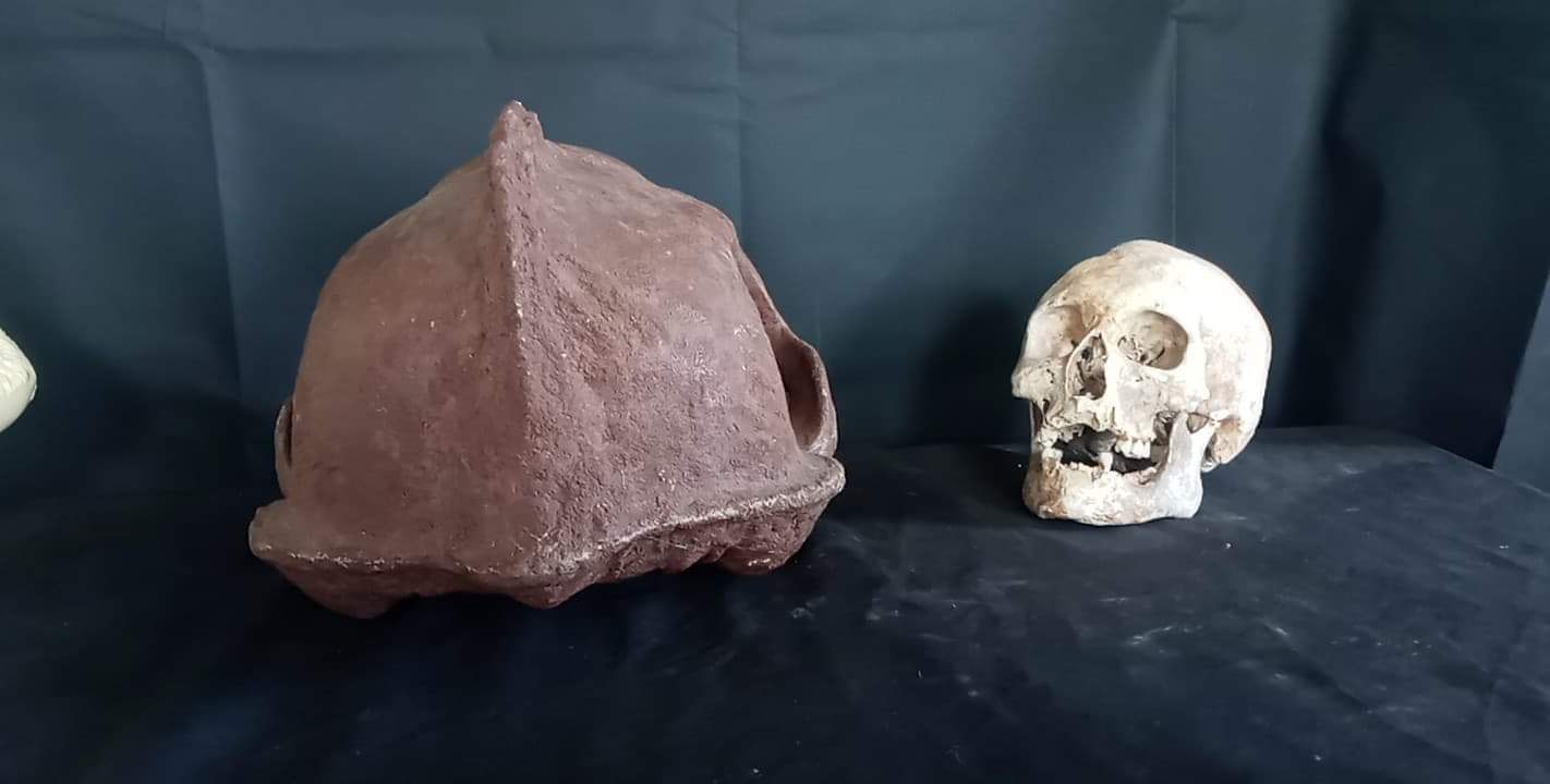 Bigfoot Skull Cast Artistic Interpretation by Master artist ( top of skull only). - Image 6
