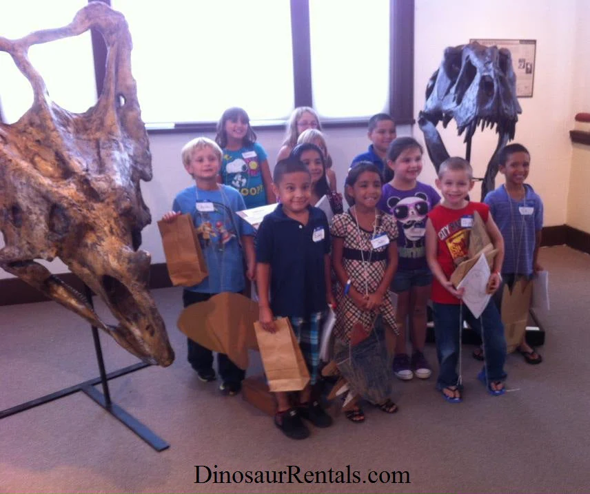 Chasmosaurus Skull cast replica dinosaur skull - Image 16