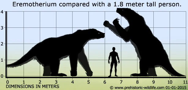 Eremotherium Ground Sloth skull cast replica #2 - Image 5